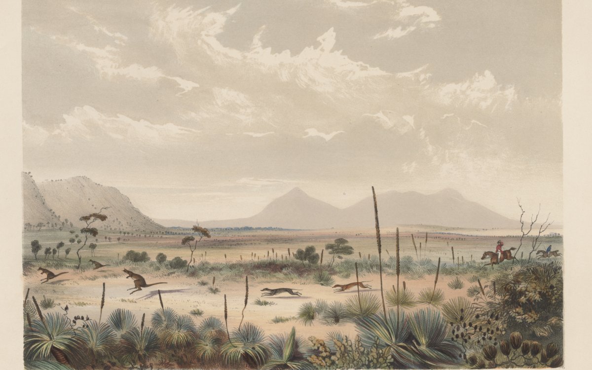 Painting of an open plain with a mountain in the background. A kangaroo is featured in the midground.